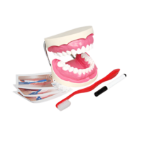 Игровой комплект "Чистим зубы" - «globural.ru» - Киров