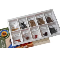 Коллекция "Плоды сельскохозяйственных растений" (вариант 2) - «globural.ru» - Киров