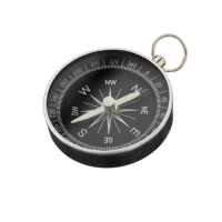 Компас (вариант 1) - «globural.ru» - Киров