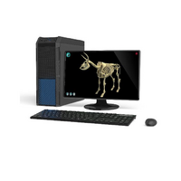 Макет масштабный «Скелет Коровы» Масштаб 1:2 - «globural.ru» - Киров