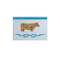 Стенд-планшет светодинамический "Изучение нервной системы сельскохозяйственных животных" со сменными панелями - «globural.ru» - Киров