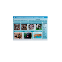 Стенд-планшет светодинамический «Острые отравления животных лекарственными препаратами» - «globural.ru» - Киров