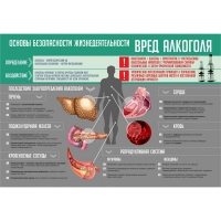Стенд "Алкоголь" - «globural.ru» - Киров