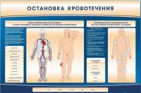 Электрифицированный стенд-тренажер "Остановка кровотечения" - «globural.ru» - Киров