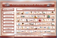 Трехсекционный базовый комплект "Травмы. Кровотечения. Ожоги" для учащихся общеобразовательных учреждений - «globural.ru» - Киров