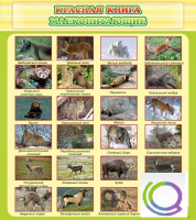 Стенд "Красная книга - млекопитающие" - «globural.ru» - Киров