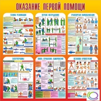 Стенд "Оказание первой помощи" - «globural.ru» - Киров