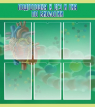 Стенд "Подготовка к ЕГЭ и ОГЭ по биологии" (вариант 1) - «globural.ru» - Киров