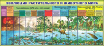 Стенд "Эволюция растительного и животного мира" - «globural.ru» - Киров