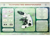 Электрифицированный стенд "Устройство микроскопа и правила работы c ним" - «globural.ru» - Киров