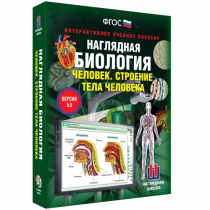 Наглядная биология. Человек. Строение тела человека - «globural.ru» - Киров