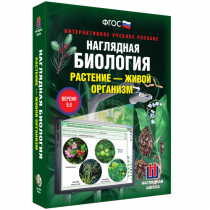 Наглядная биология. Растение - живой организм - «globural.ru» - Киров