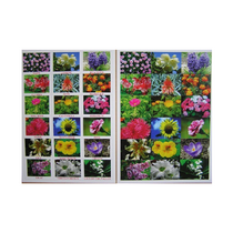 Английское лото "Цветы - травы" - «globural.ru» - Киров