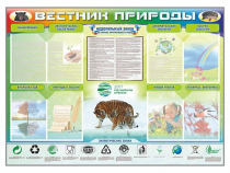 Стенд-уголок "Вестник природы" (вариант 1) - «globural.ru» - Киров