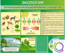 Стенд "Экология. Организация и функционирование сообществ" - «globural.ru» - Киров