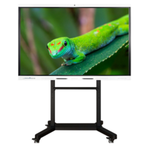 Интерактивный комплекс Geckotouch ​​​​​​​86RK - «globural.ru» - Киров