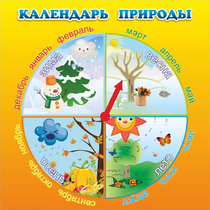 Стенд "Календарь природы" 0.5x0.5 - «globural.ru» - Киров