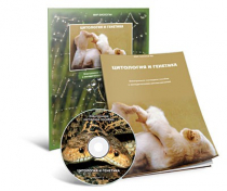 Электронное наглядное пособие «Цитология и генетика» - «globural.ru» - Киров