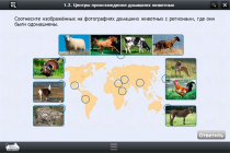 Интерактивные курсы. Биология 7 класс. Расширенный - «globural.ru» - Киров