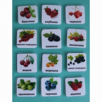 Набор карточек "Ягоды" - «globural.ru» - Киров