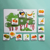 Пособие "Овощи и фрукты" - «globural.ru» - Киров