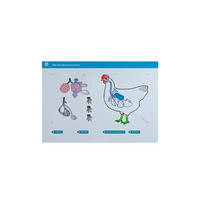 Стенд-планшет светодинамический "Изучение органов дыхания сельскохозяйственных животных" со сменными панелями - «globural.ru» - Киров