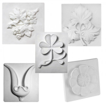 Комплект гипсовых моделей растений  - «globural.ru» - Киров