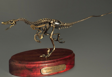 Модель скелета динозавра Velociraptor - «globural.ru» - Киров