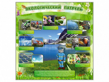 Стенд "Экологический патруль" - «globural.ru» - Киров