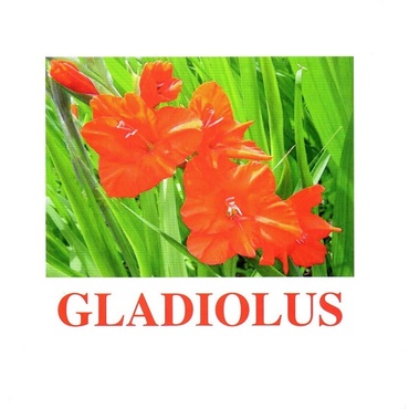 "Flowers-1" ("Цветы-1") английские карточки Домана - «globural.ru» - Киров