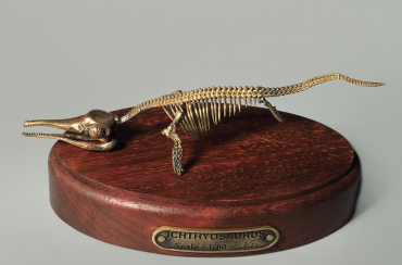 Модель скелета ихтиозавра Ichthyosaurus - «globural.ru» - Киров
