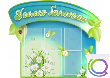 Стенд "Уголок биологии" - «globural.ru» - Киров