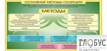 Стенд "Методы селекции и биотехнологии" - «globural.ru» - Киров