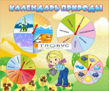 Стенд "Календарь природы" (вариант 1) - «globural.ru» - Киров