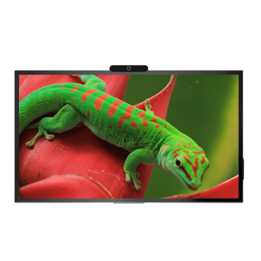 Интерактивная панель Geckotouch Interactive 65R - «globural.ru» - Киров