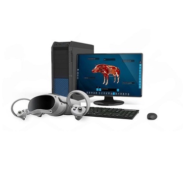 Интерактивный учебный комплекс «Анатомия Свиньи» - «globural.ru» - Киров