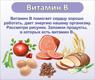 Стенд "Витамин В" - «globural.ru» - Киров