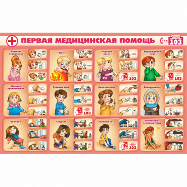 Стенд "Первая помощь" - «globural.ru» - Киров