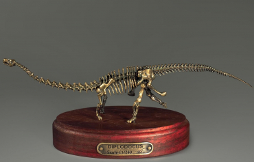 Модель скелета динозавра Diplodocus (вариант 1) - «globural.ru» - Киров