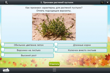 Интерактивные курсы. Окружающий мир 3 класс. Базовый - «globural.ru» - Киров