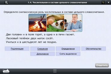 Интерактивные курсы. Русский язык 6 класс. Базовый - «globural.ru» - Киров
