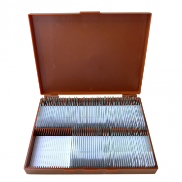 Комплект микропрепаратов по анатомии, ботанике, зоологии, общей биологии - «globural.ru» - Киров