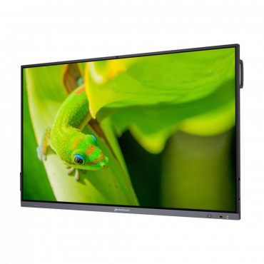Интерактивный программно-аппаратный комплекс Geckotouch Interactive IP86GT-С  в комплекте с настенным креплением - «globural.ru» - Киров