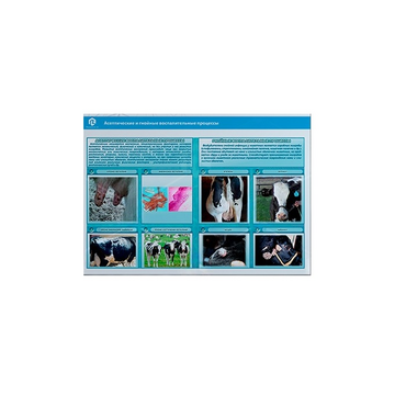 Стенд-планшет светодинамический «Изучение асептических и гнойных воспалительных процессов» - «globural.ru» - Киров