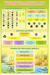 Стенд "Классификация животного мира" - «globural.ru» - Киров