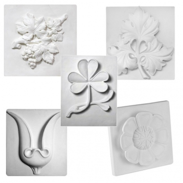 Комплект гипсовых моделей растений  - «globural.ru» - Киров